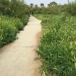 La Corniche 塞特港